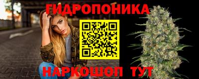 ГАЛЛЮЦИНОГЕННЫЕ ГРИБЫ Лесосибирск