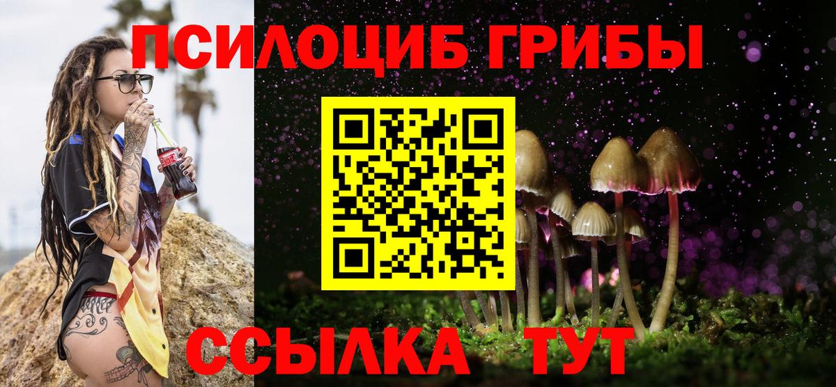 Алапаевск  Галлюциногенные грибы прущие грибы  Вход с VPN 